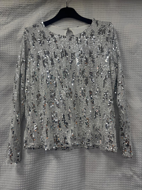 Crew Neck Sequin Blouse
