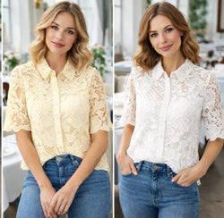 Lace Collar Short Sleeve Shirt