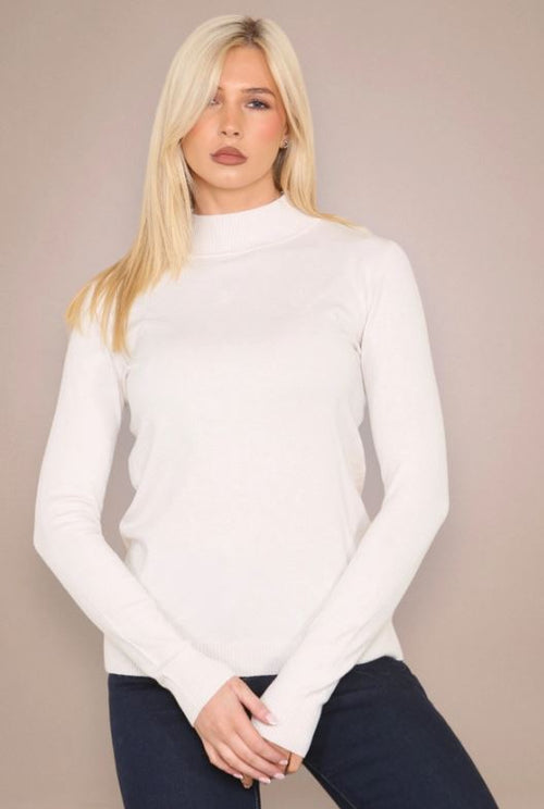 Classic Turtle Neck Knit Sweater